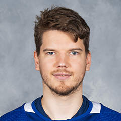 Ilya Samsonov Stats And Player Profile | TheAHL.Com | The American.