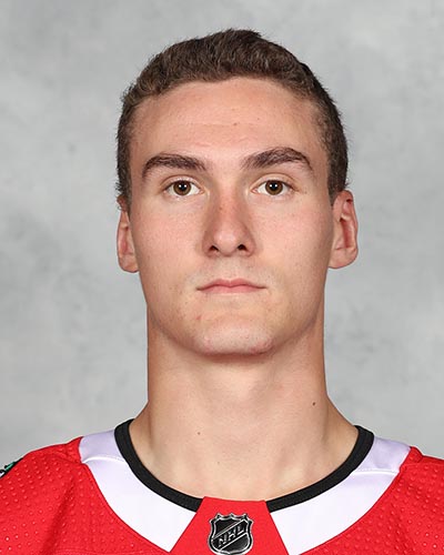 Laurent Dauphin Hockey Stats and Profile at
