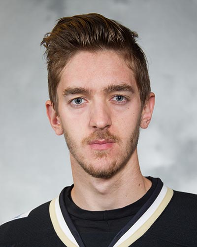 8,276 Matt Murray Hockey Player Stock Photos, High-Res Pictures