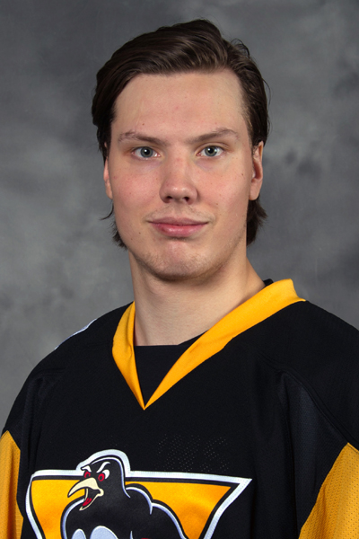 Oskar Sundqvist Hockey Stats and Profile at