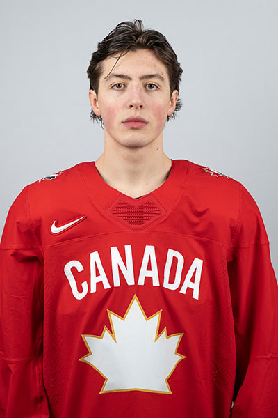 3d5b3bf3f870153ec329baddbdf81d20